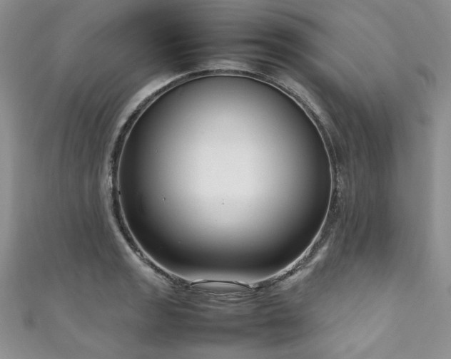 X0000111191133200907011406