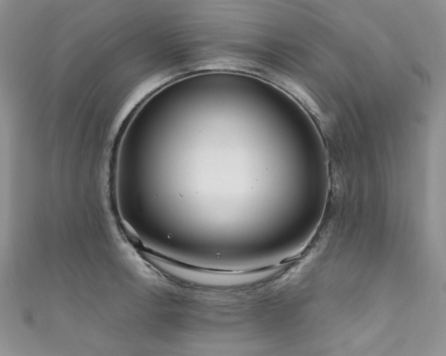 X0000111191138200907011406