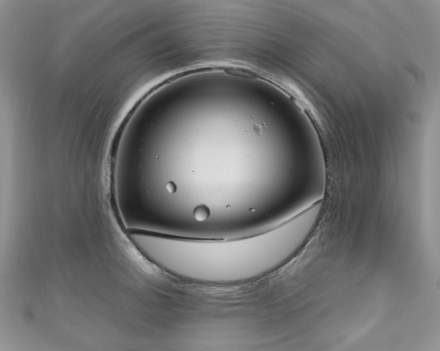 X0000111191140200907011406