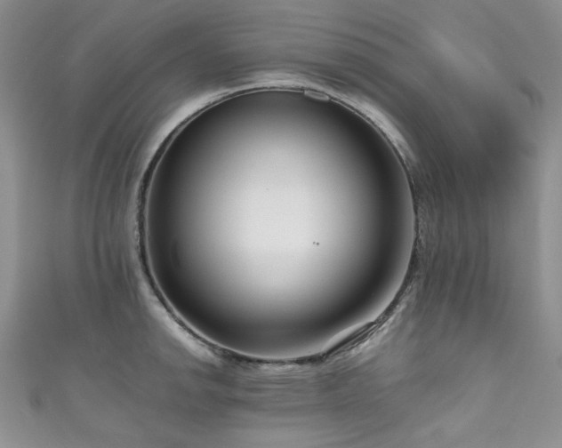 X0000111191142200907011406