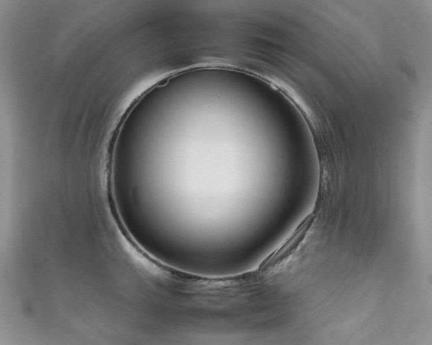 X0000111191143200907011406