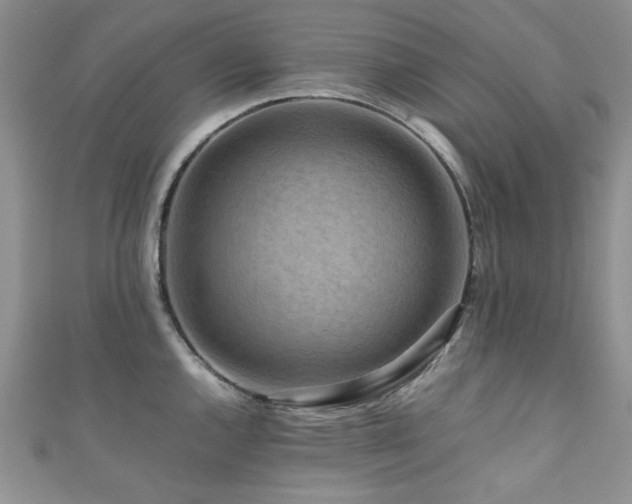 X0000111191144200907011406