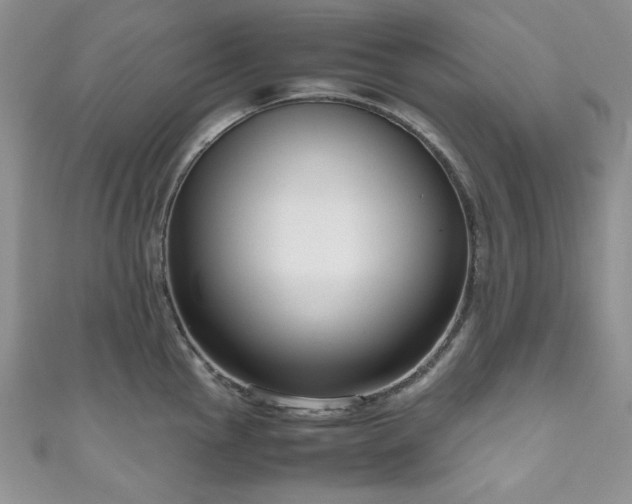 X0000111191145200907011406