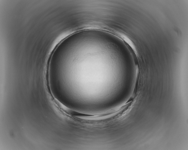 X0000111191146200907011406