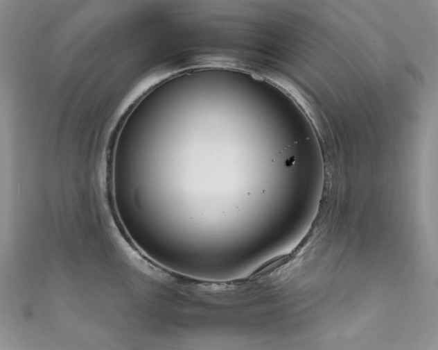 X0000111191147200907011406