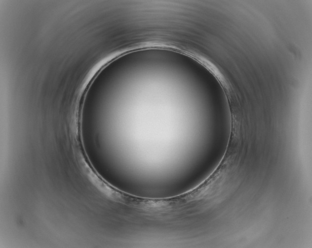 X0000111191148200907011406