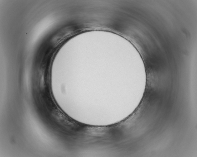 X0000111191150200907011407