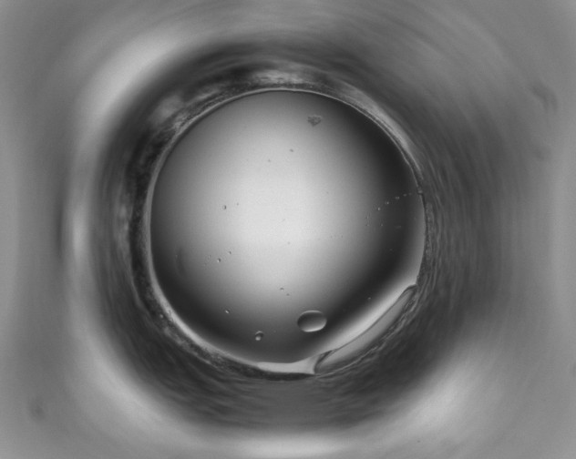 X0000111191151200907011407