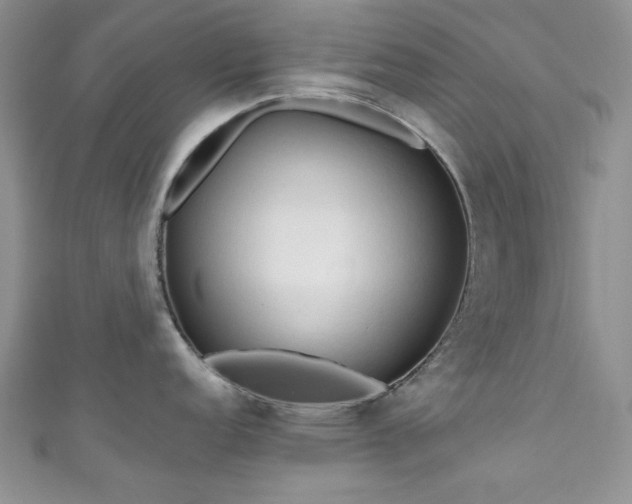 X0000111191152200907011407