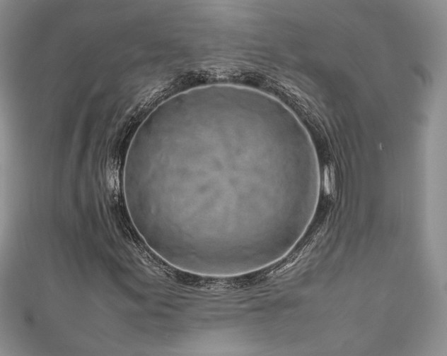 X0000111191155200907011406