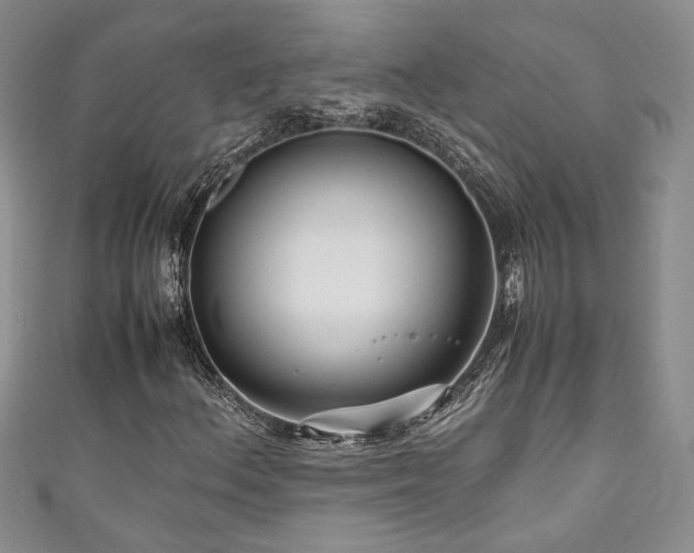 X0000111191156200907011406