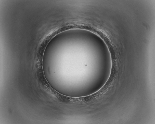 X0000111191159200907011406