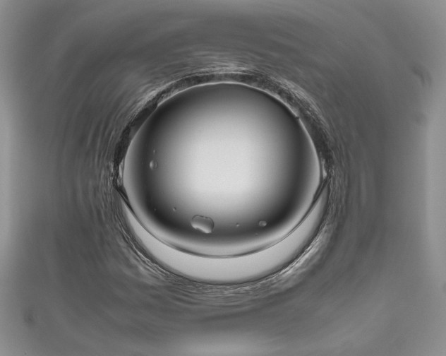 X0000111191161200907011406