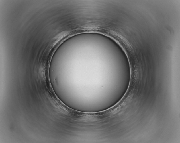 X0000111191162200907011406