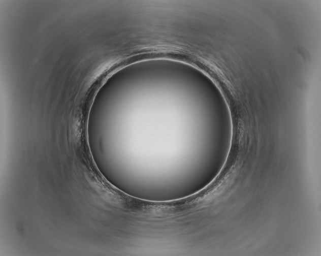 X0000111191163200907011406