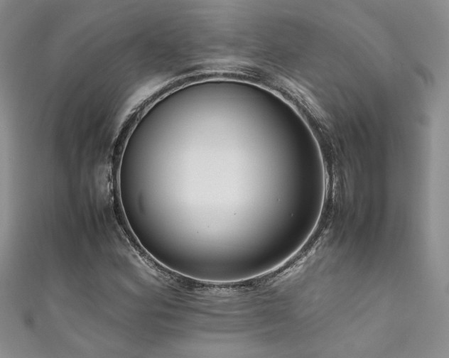 X0000111191164200907011406