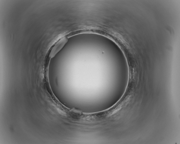 X0000111191165200907011406