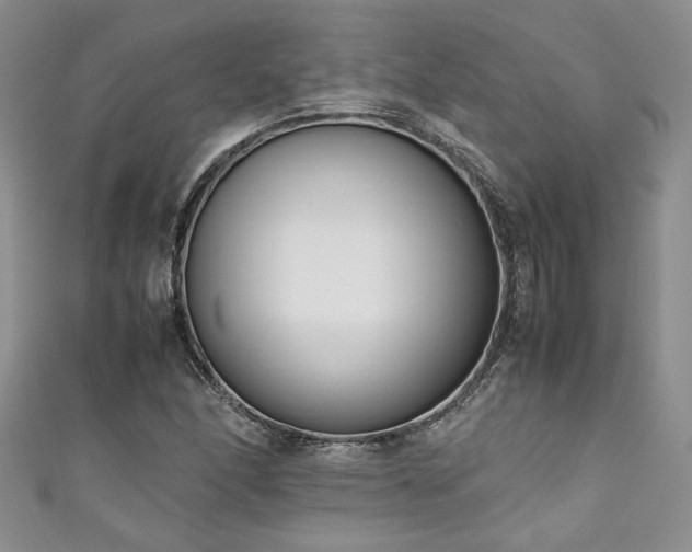 X0000111191166200907011406