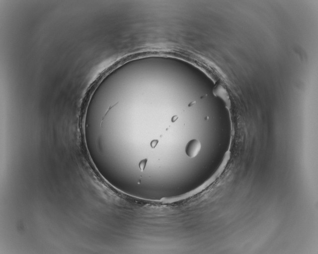 X0000111191168200907011406