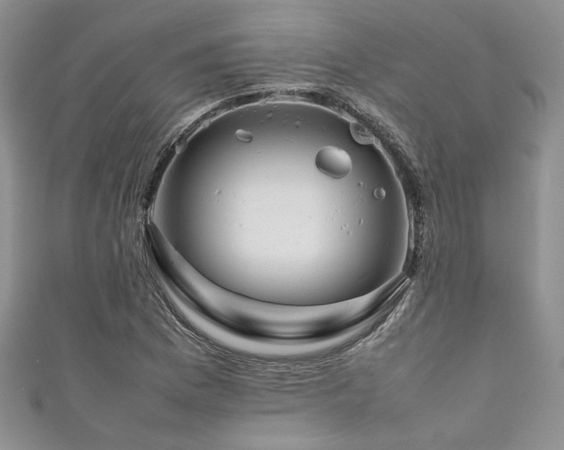 X0000111191169200907011406