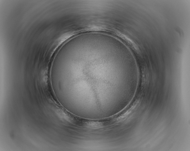 X0000111191170200907011406