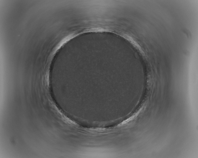 X0000111191173200907011406