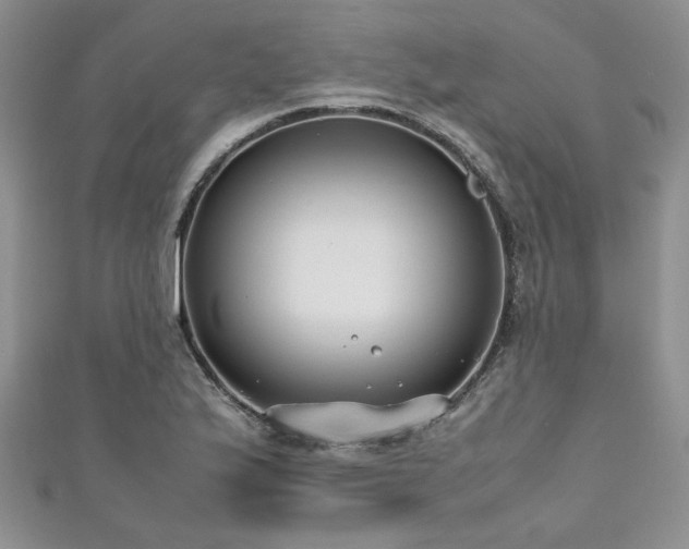 X0000111191175200907011406