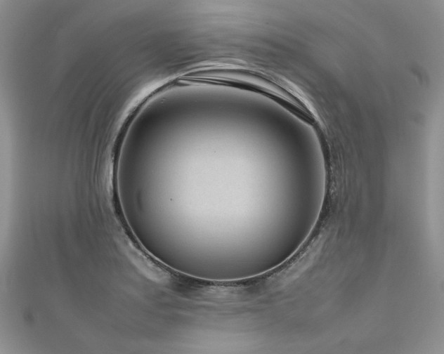 X0000111191179200907011406