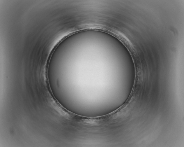 X0000111191182200907011406