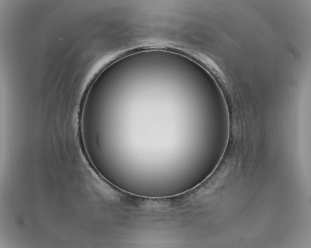 X0000111191183200907011406