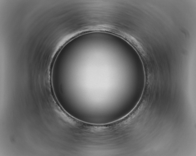 X0000111191184200907011406