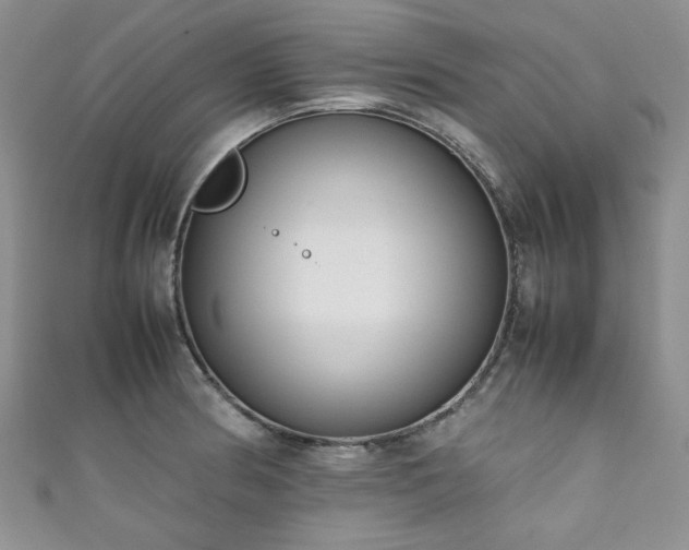 X0000111191186200907011406