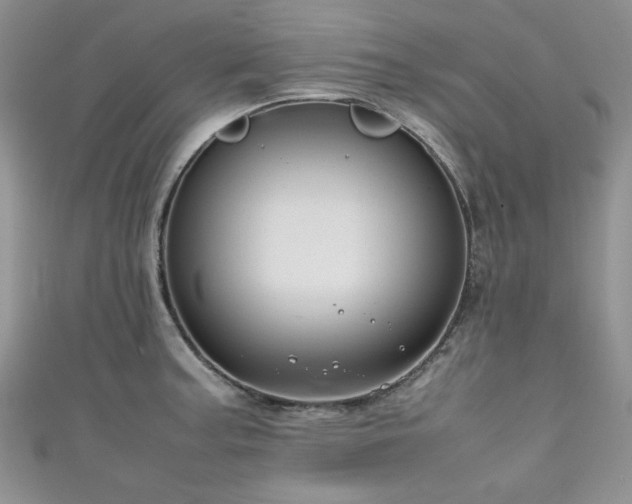 X0000111191187200907011405