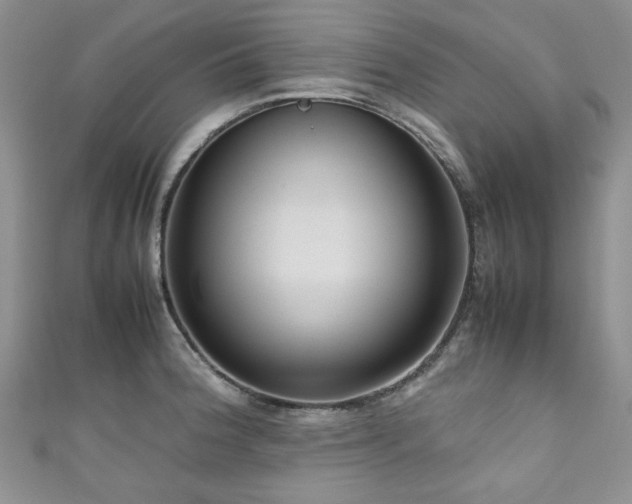 X0000111191188200907011405