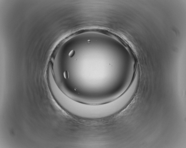 X0000111191189200907011405