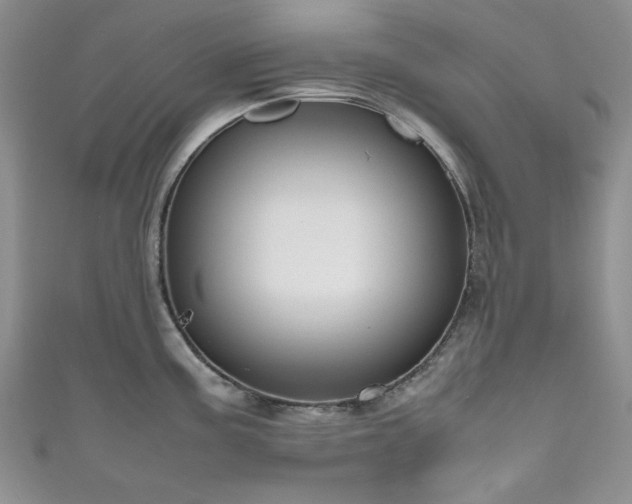 X0000111191195200907011405