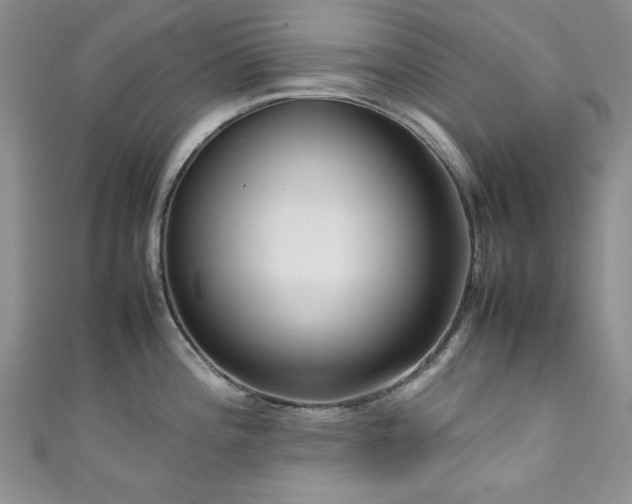 X0000111191196200907011405