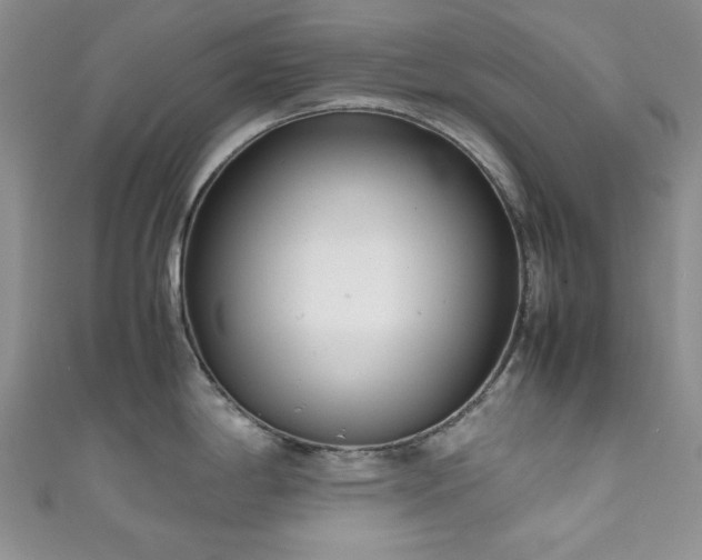 X0000111191198200907011405