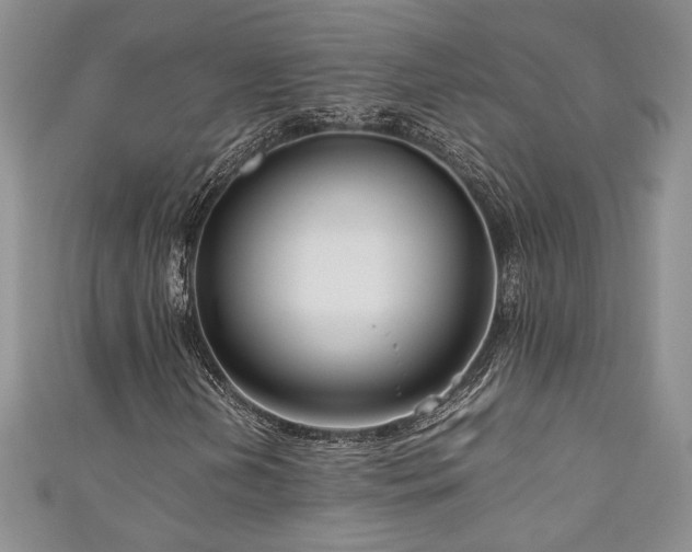 X0000111191202200907011405