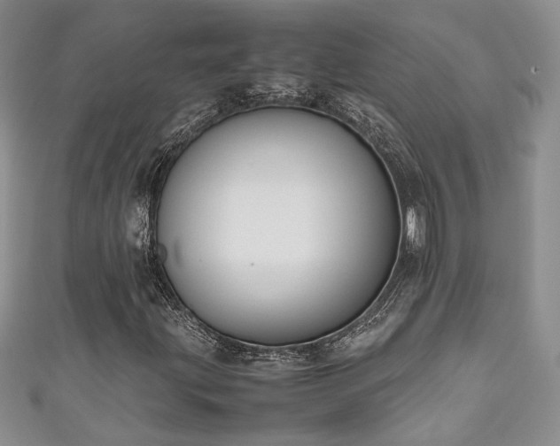 X0000111191203200907011405