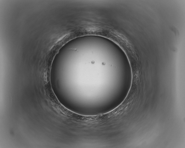 X0000111191205200907011405