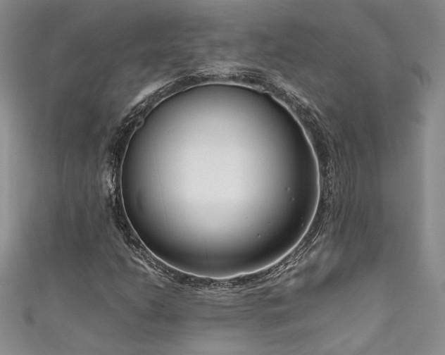 X0000111191206200907011405