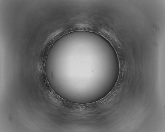 X0000111191207200907011405