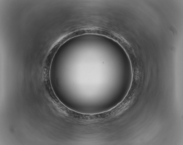 X0000111191208200907011405