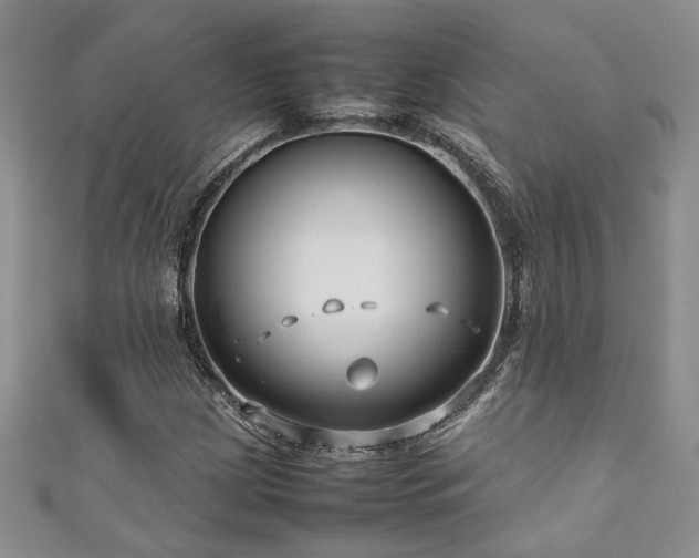 X0000111191209200907011405