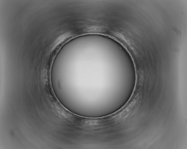 X0000111191211200907011405