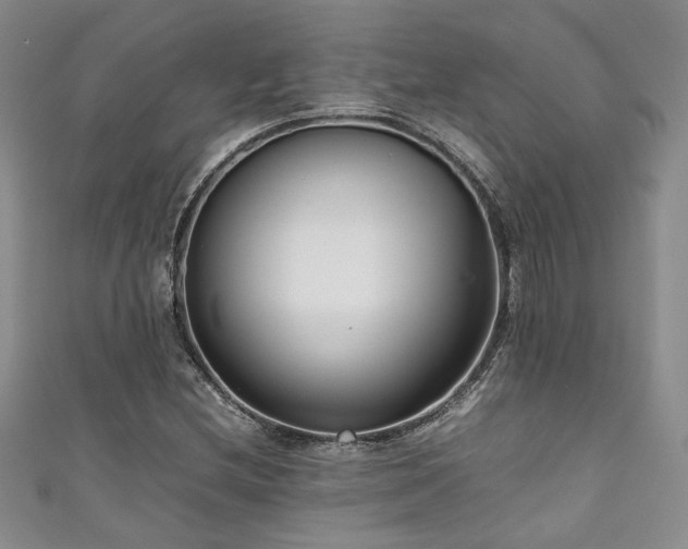 X0000111191212200907011405