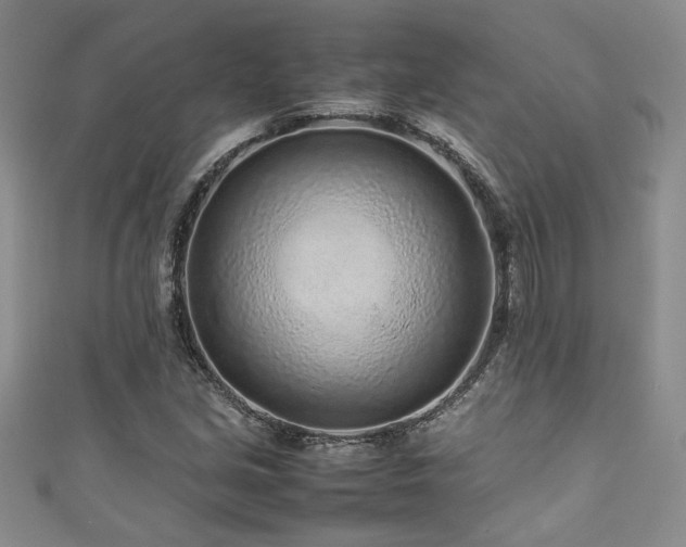 X0000111191213200907011405