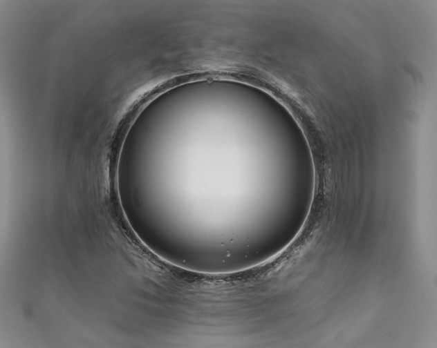 X0000111191214200907011405