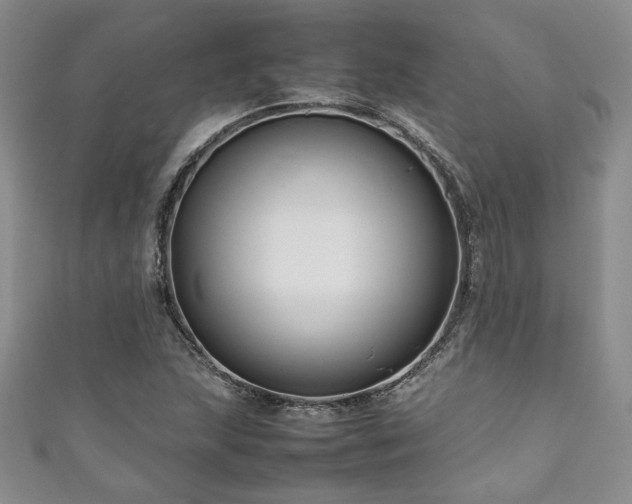 X0000111191215200907011405